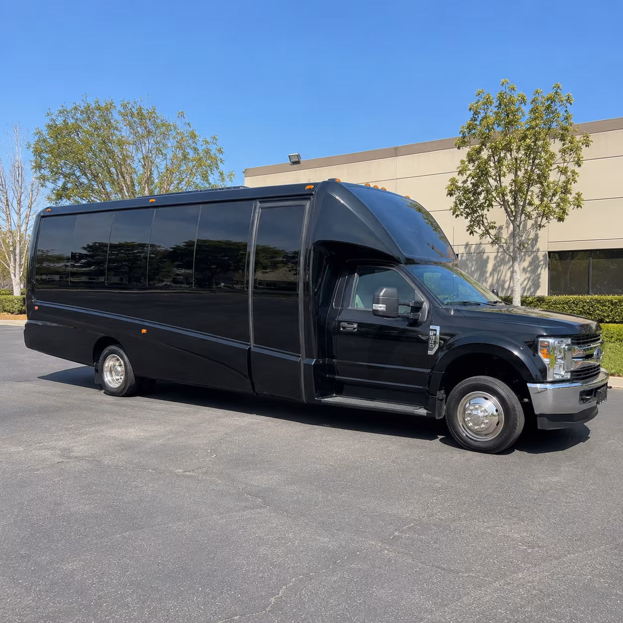 Group beside a Mercedes Sprinter limo in Mobile