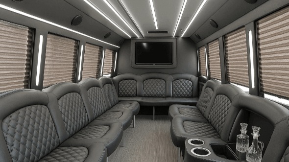 mobile 20 passenger party bus rental